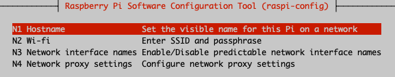 Raspberry Pi Software Configuration Tool Network Options Menu